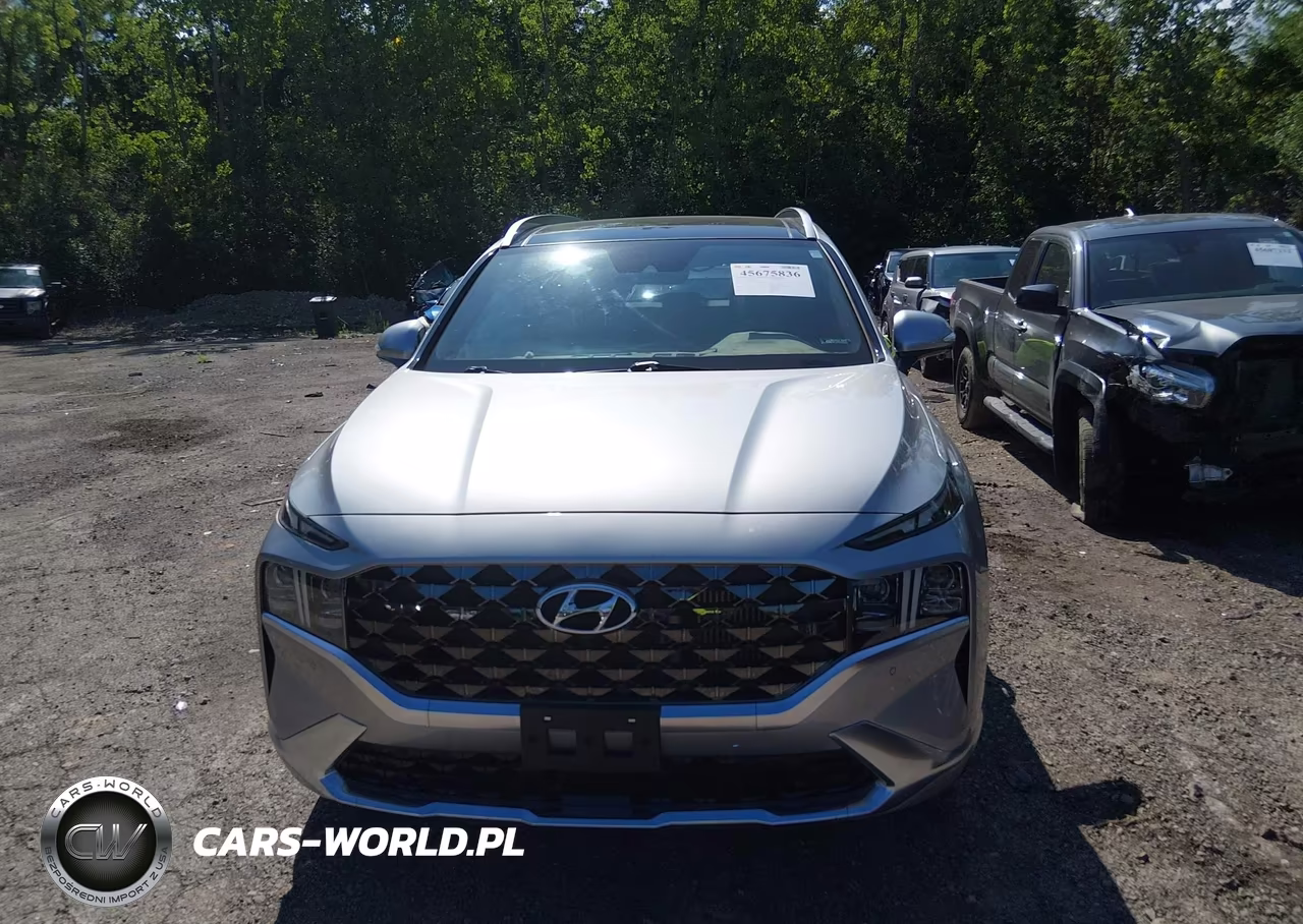 2023 Hyundai Santa Fe Calligraphy VIN:5NMS5DAL5PH573836 - 12