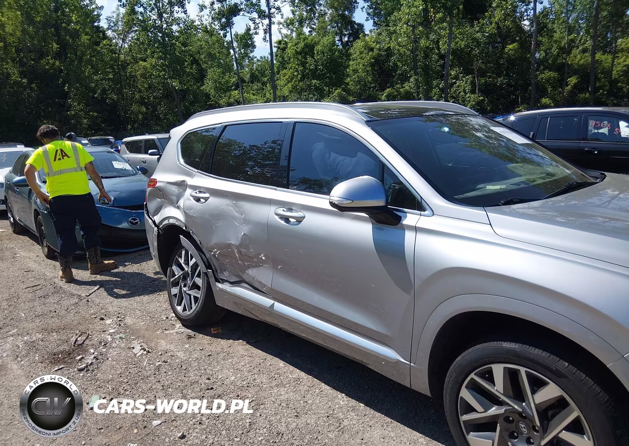 2023 Hyundai Santa Fe Calligraphy VIN:5NMS5DAL5PH573836 - 13