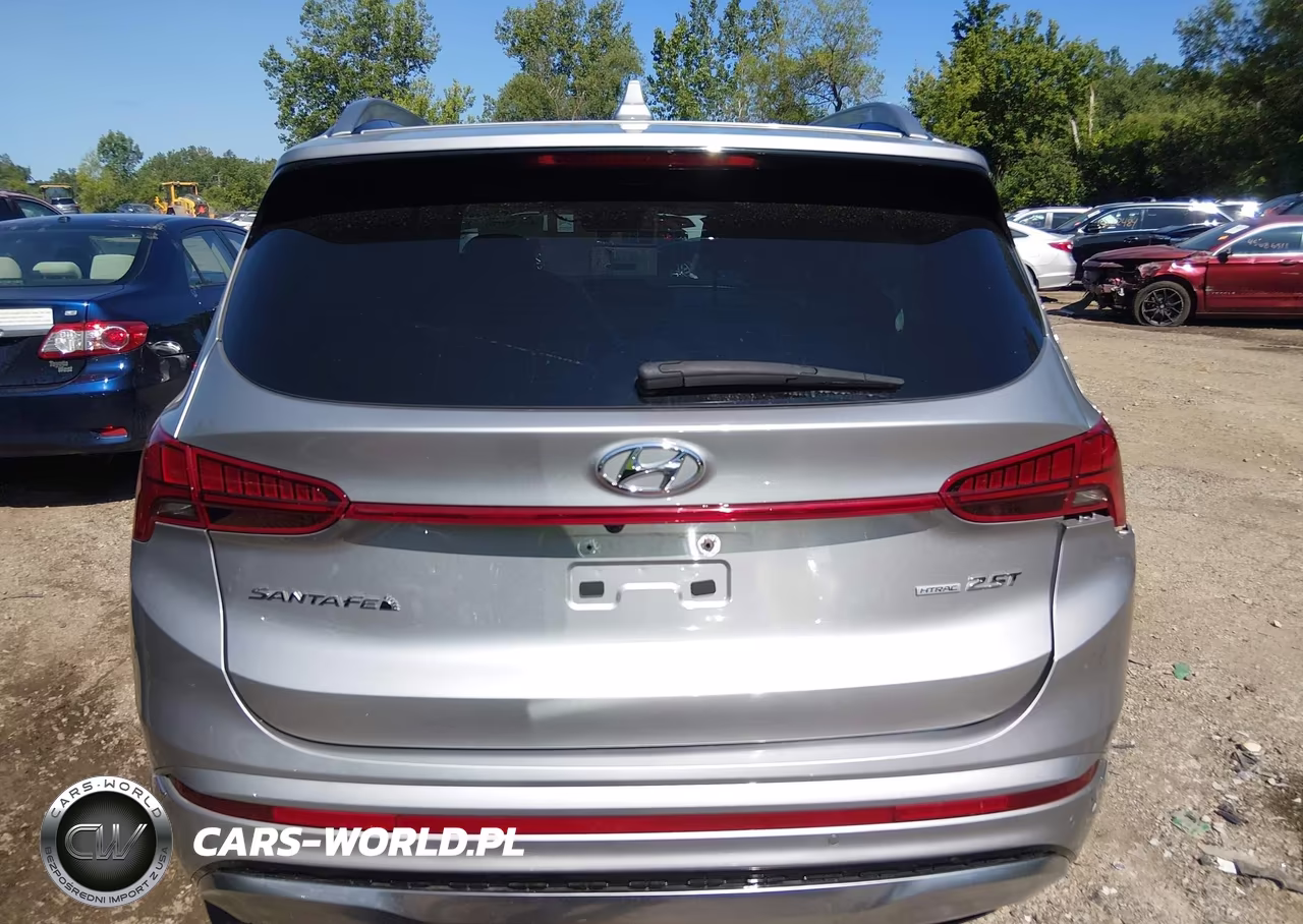 2023 Hyundai Santa Fe Calligraphy VIN:5NMS5DAL5PH573836 - 16