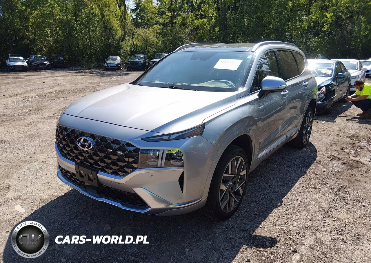 2023 Hyundai Santa Fe Calligraphy VIN:5NMS5DAL5PH573836 - 2