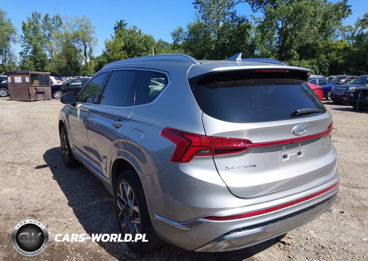 2023 Hyundai Santa Fe Calligraphy VIN:5NMS5DAL5PH573836 - 3