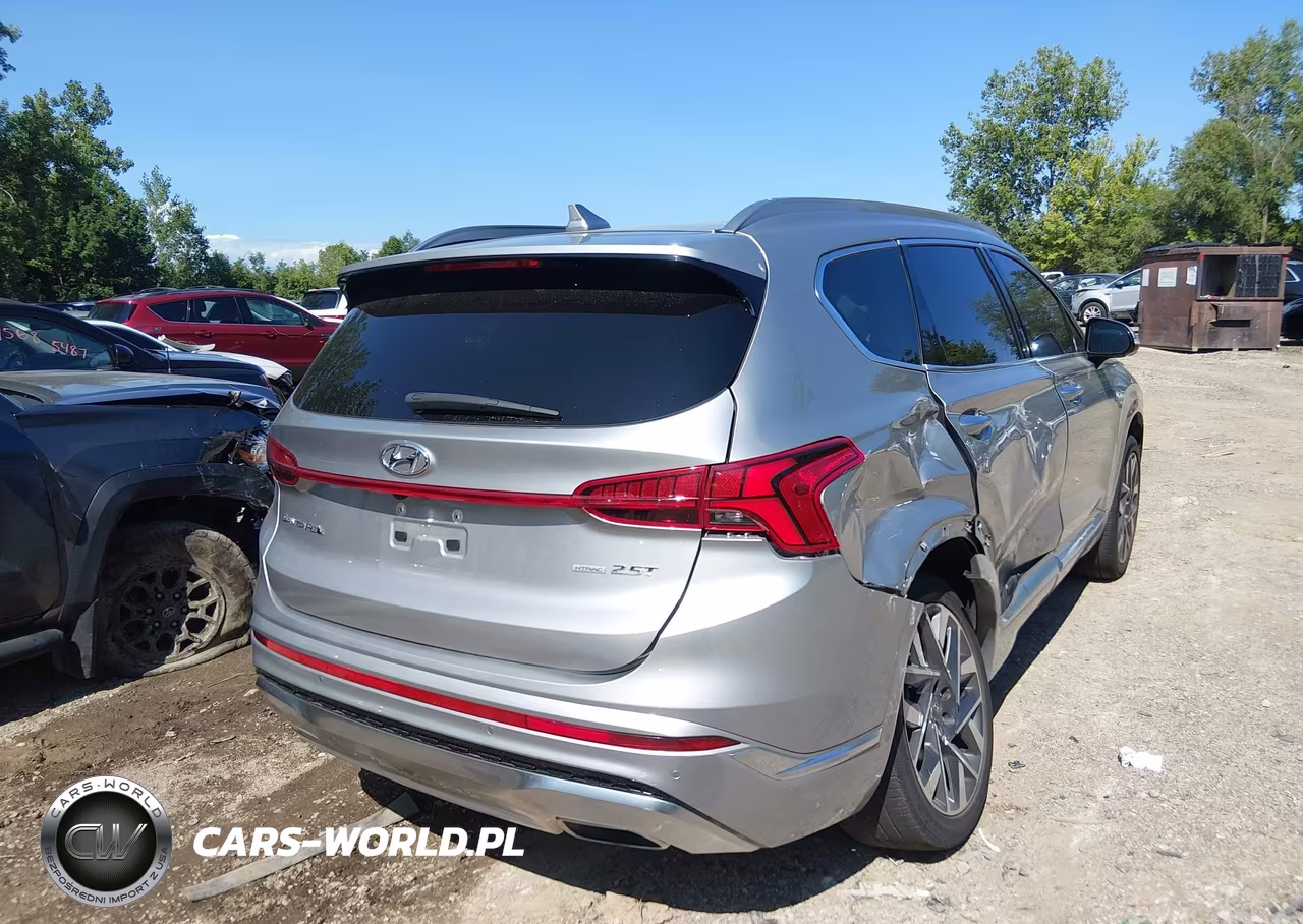 2023 Hyundai Santa Fe Calligraphy VIN:5NMS5DAL5PH573836 - 4