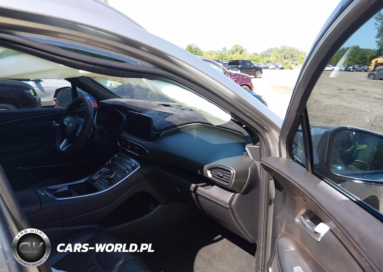 2023 Hyundai Santa Fe Calligraphy VIN:5NMS5DAL5PH573836 - 5