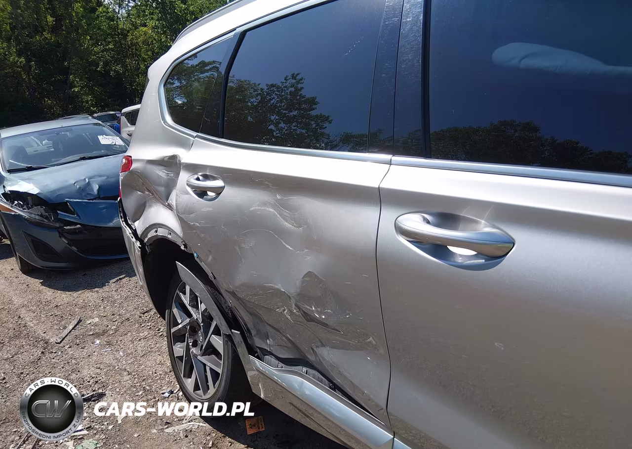 2023 Hyundai Santa Fe Calligraphy VIN:5NMS5DAL5PH573836 - 6