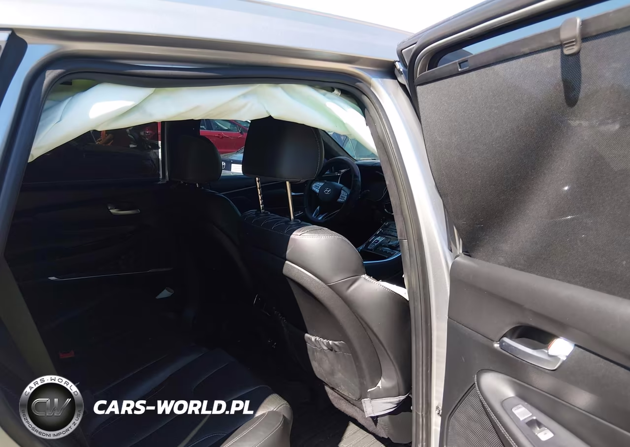2023 Hyundai Santa Fe Calligraphy VIN:5NMS5DAL5PH573836 - 8