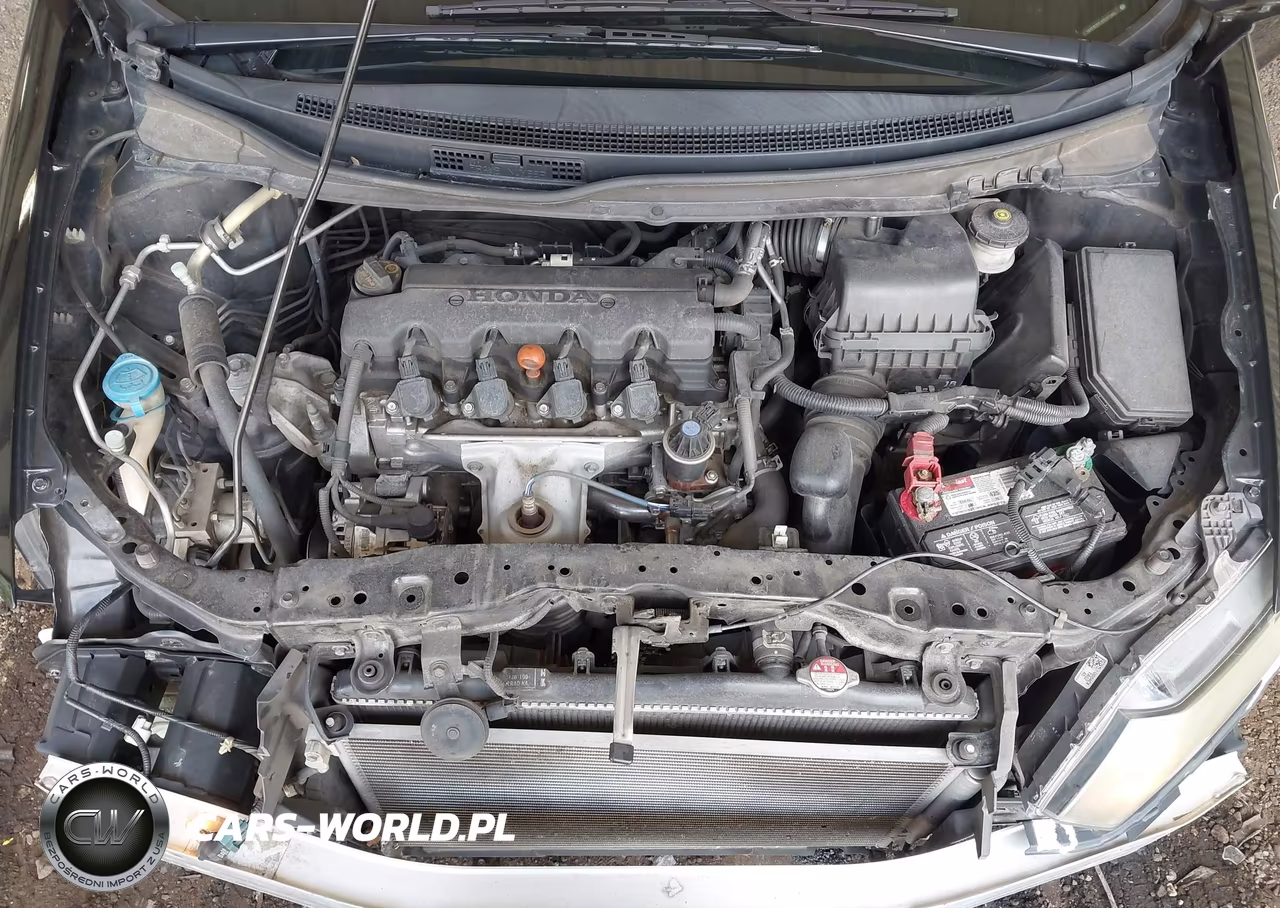 2014 Honda Civic Lx VIN:19XFB2F51EE011994 - 10
