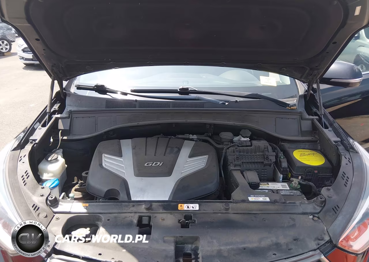 2017 Hyundai Santa Fe Limited Ultimate VIN:KM8SRDHF2HU254243 - 10