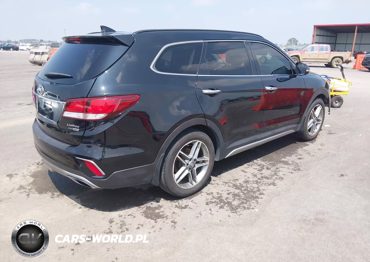 2017 Hyundai Santa Fe Limited Ultimate VIN:KM8SRDHF2HU254243 - 4
