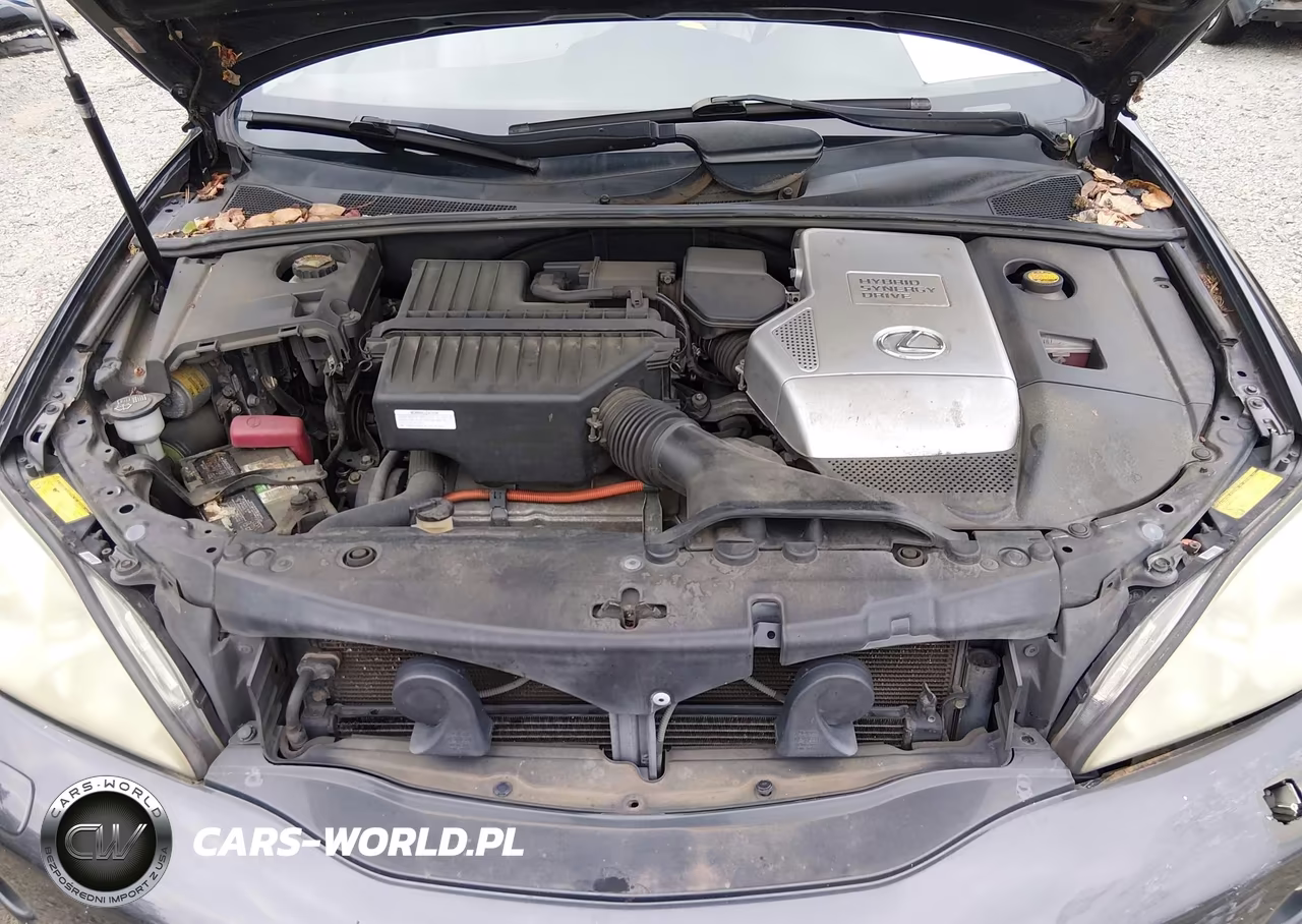 2006 Lexus Rx 400H VIN:JTJHW31U860048081 - 10