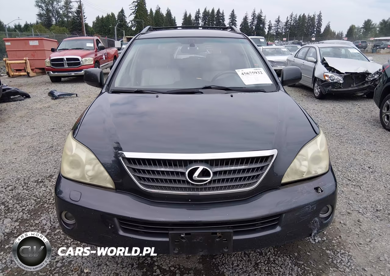 2006 Lexus Rx 400H VIN:JTJHW31U860048081 - 12