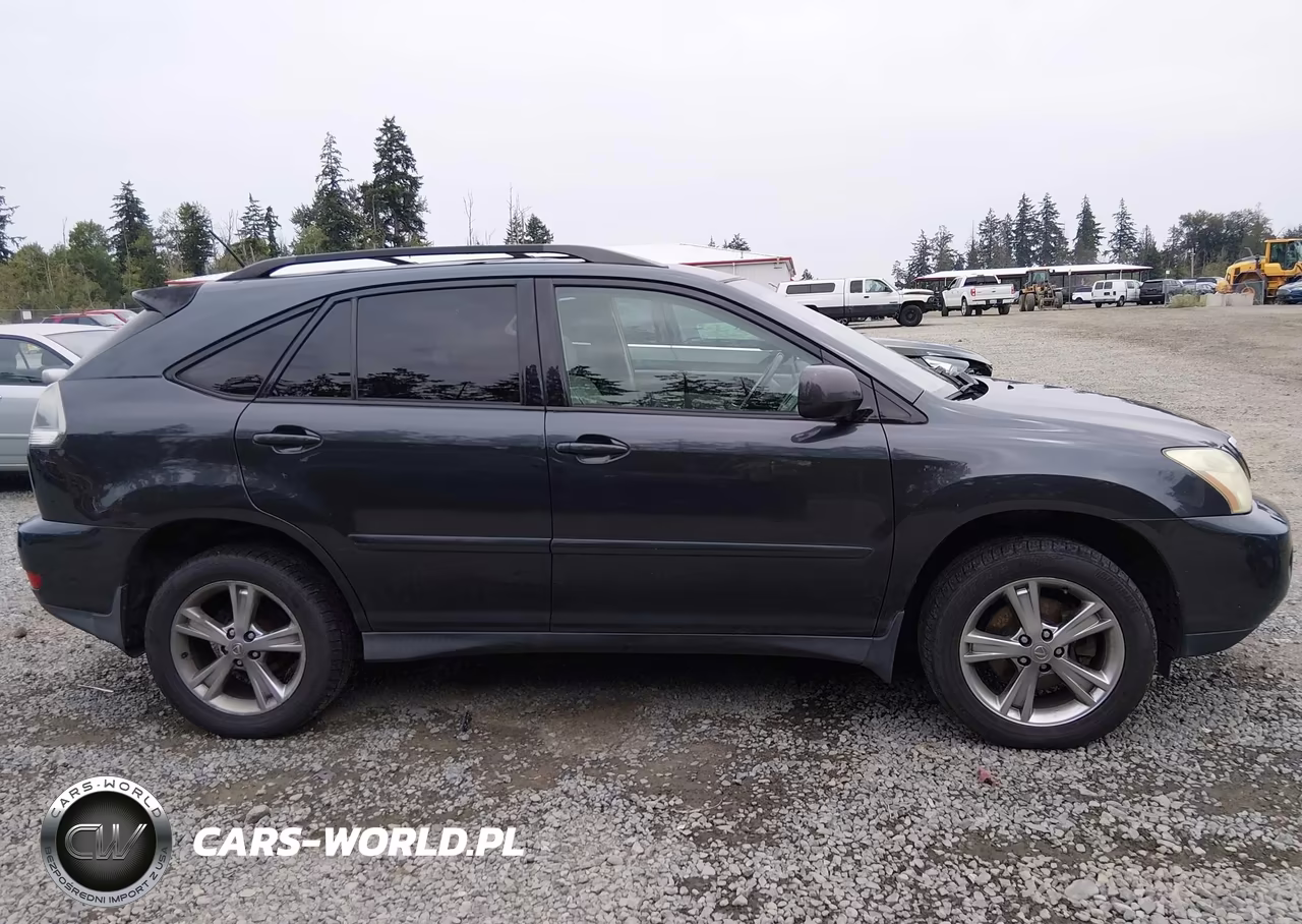 2006 Lexus Rx 400H VIN:JTJHW31U860048081 - 13