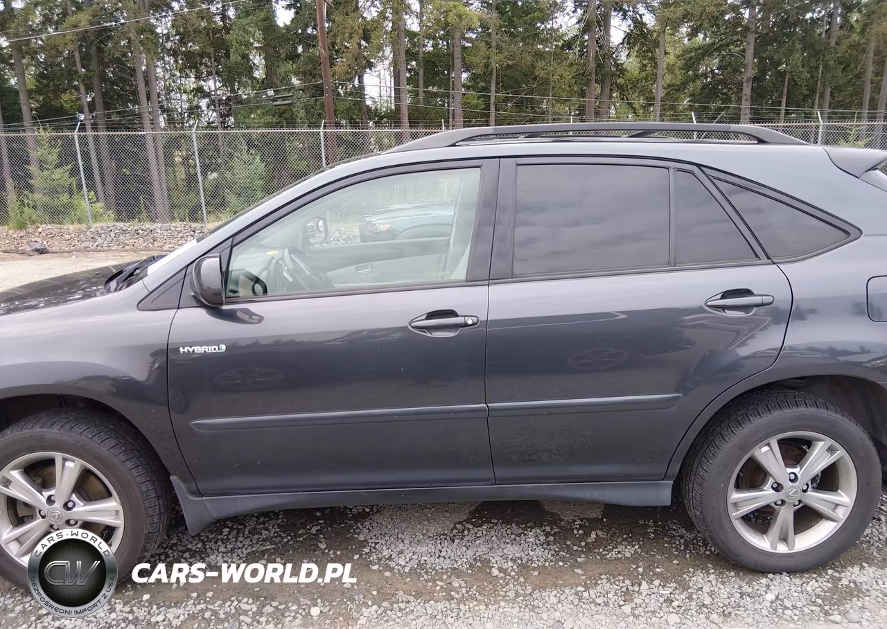 2006 Lexus Rx 400H VIN:JTJHW31U860048081 - 14