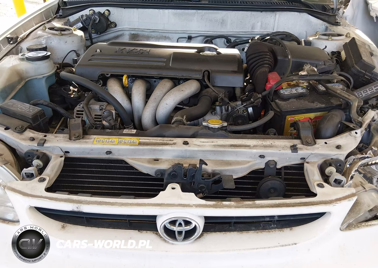 2000 Toyota Corolla Ce VIN:1NXBR12E3YZ357542 - 10