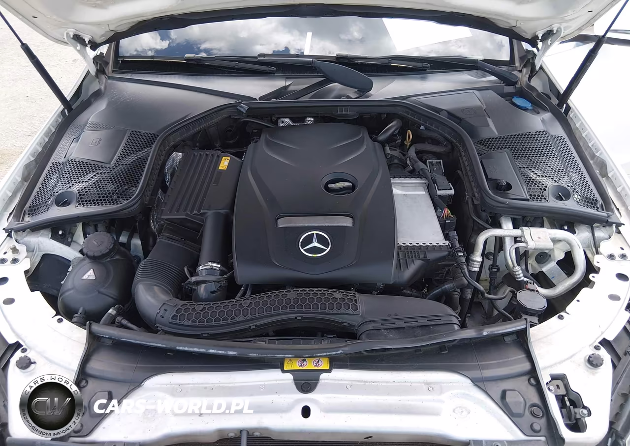2018 Mercedes-Benz C 300 VIN:55SWF4JB3JU245134 - 10