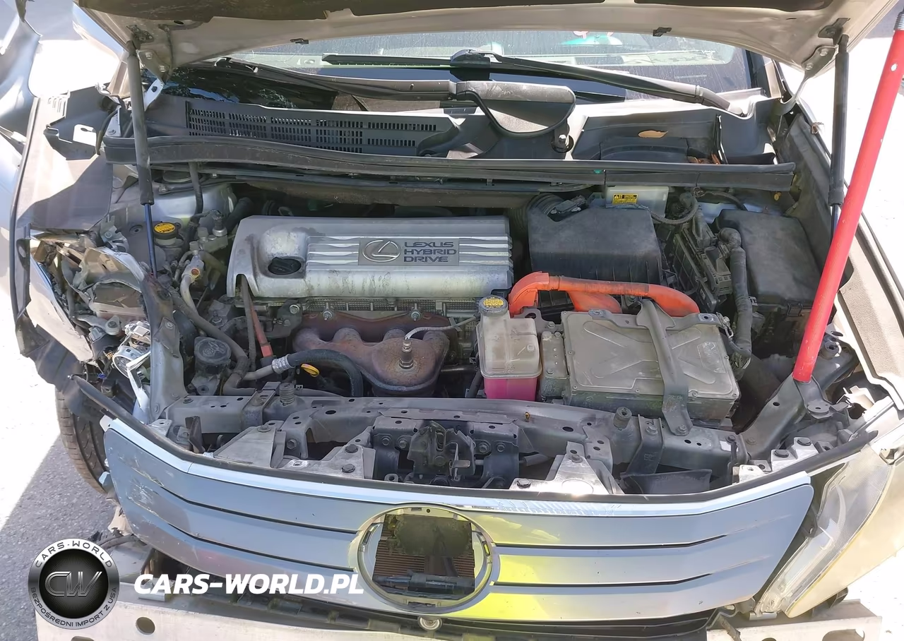 2010 Lexus Hs 250H Premium VIN:JTHBB1BA6A2018599 - 10