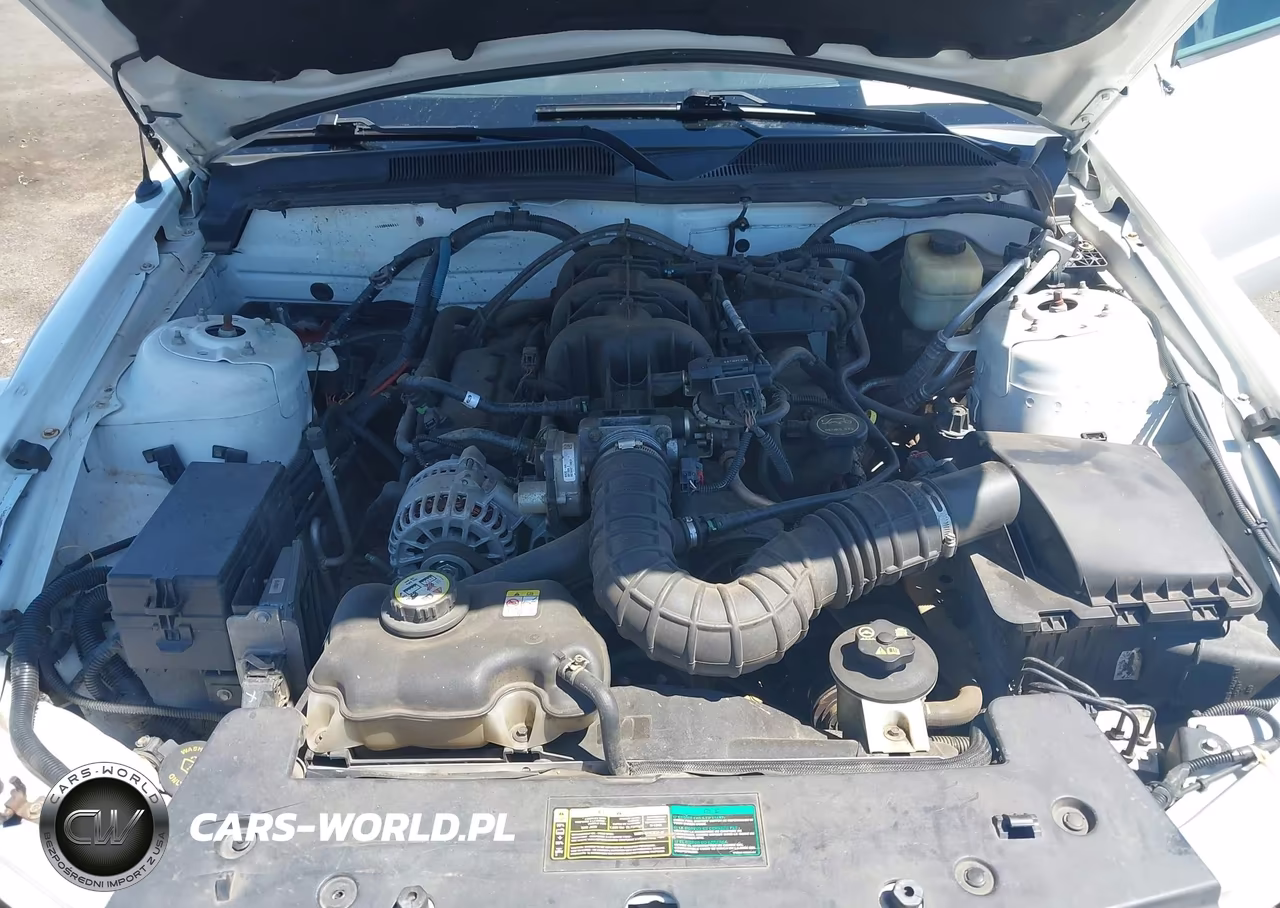2007 Ford Mustang V6 Deluxe-V6 Premium VIN:1ZVHT84N375253273 - 10