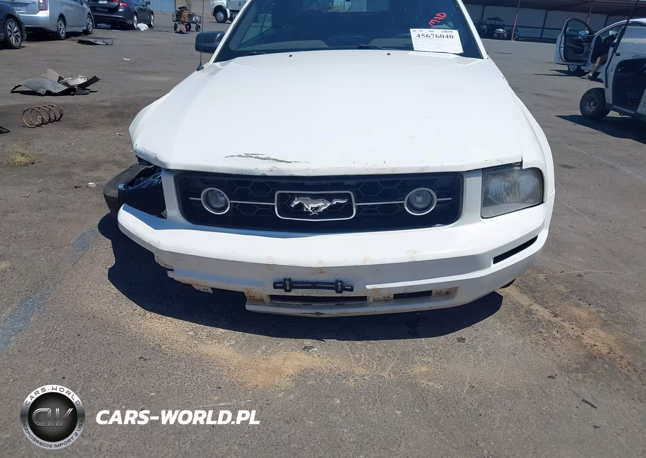 2007 Ford Mustang V6 Deluxe-V6 Premium VIN:1ZVHT84N375253273 - 13