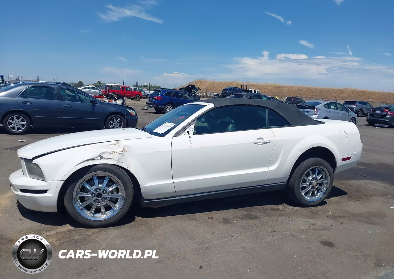 2007 Ford Mustang V6 Deluxe-V6 Premium VIN:1ZVHT84N375253273 - 15