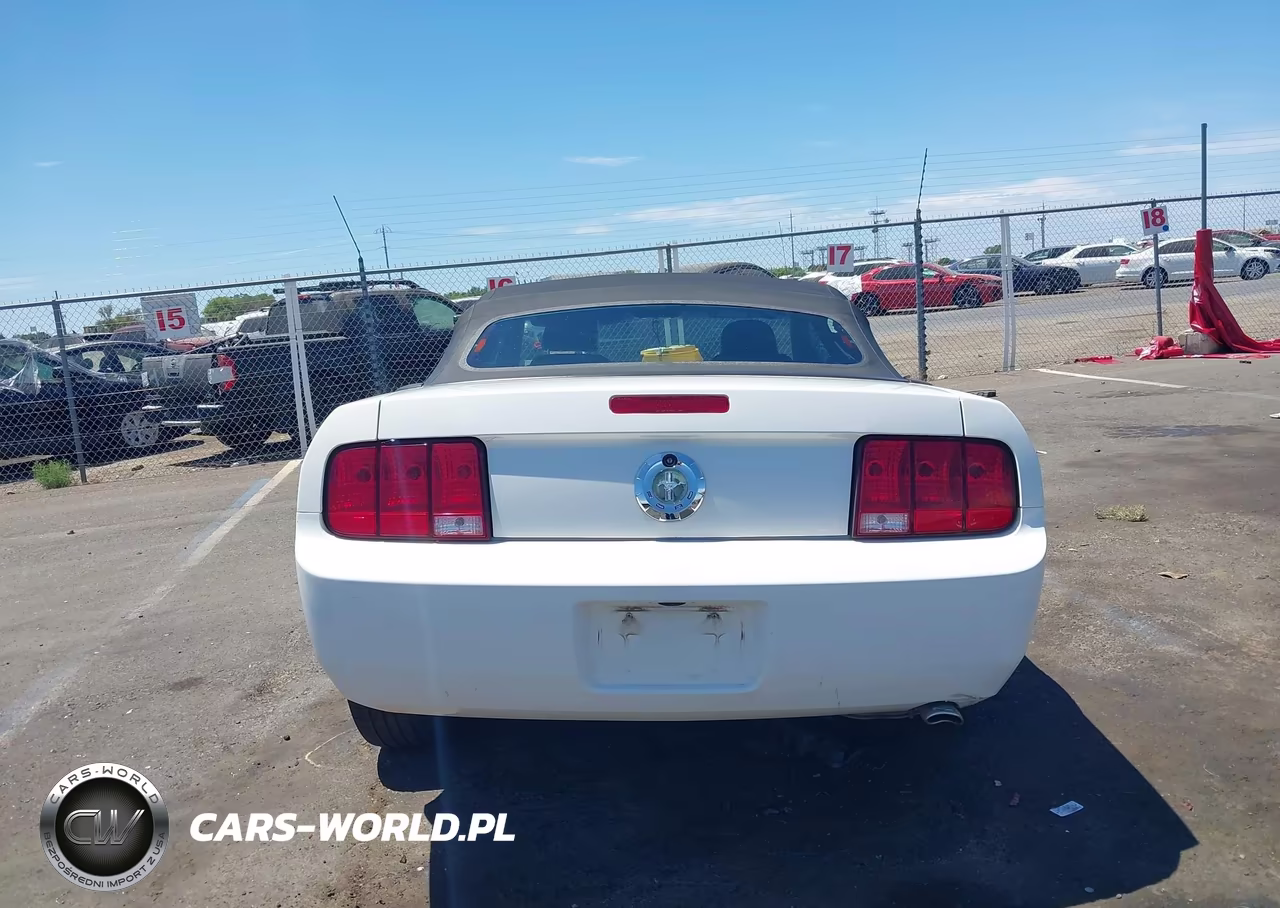 2007 Ford Mustang V6 Deluxe-V6 Premium VIN:1ZVHT84N375253273 - 17