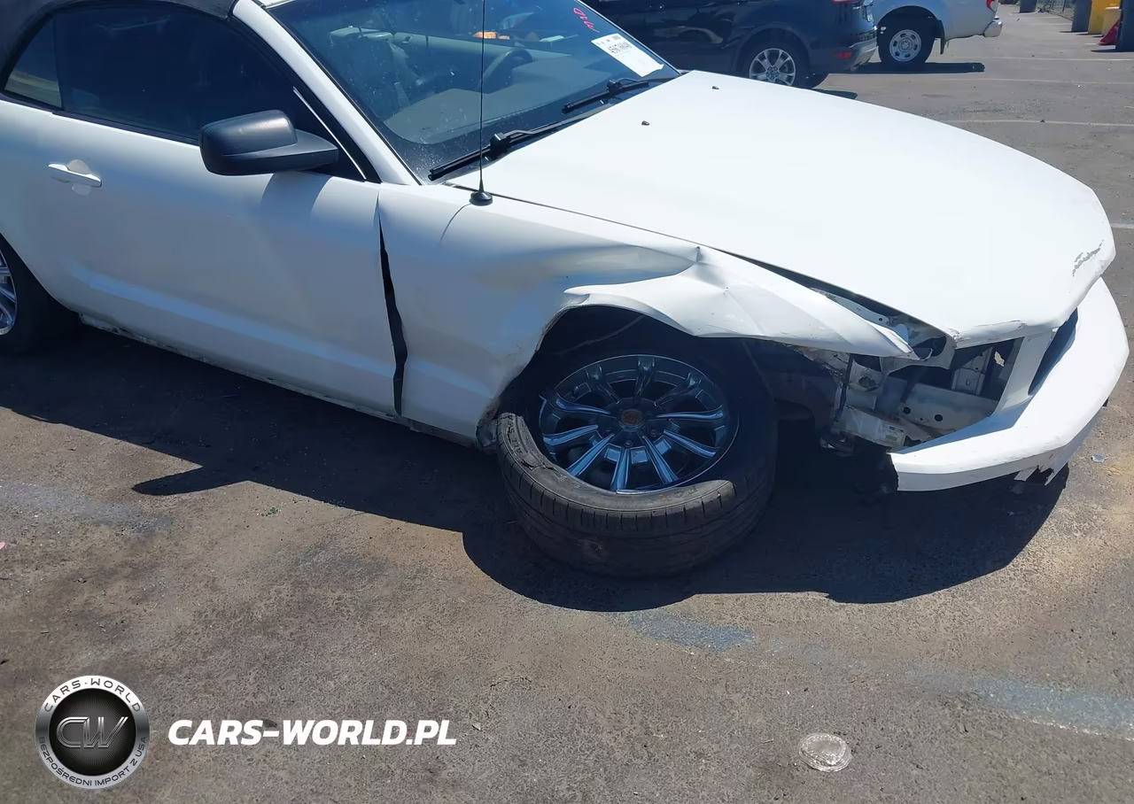 2007 Ford Mustang V6 Deluxe-V6 Premium VIN:1ZVHT84N375253273 - 6