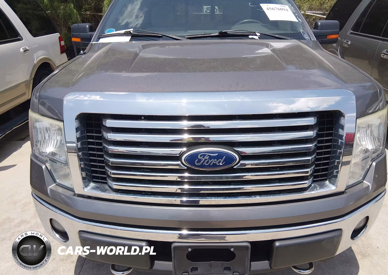 2010 Ford F-150 Fx4-Harley-Davidson-King Ranch-Lariat-Platinum-Xl-Xlt VIN:1FTFW1EV2AFB55229 - 10