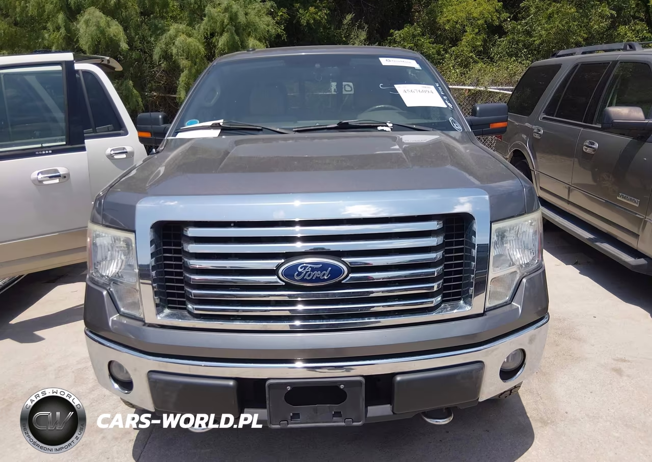 2010 Ford F-150 Fx4-Harley-Davidson-King Ranch-Lariat-Platinum-Xl-Xlt VIN:1FTFW1EV2AFB55229 - 12