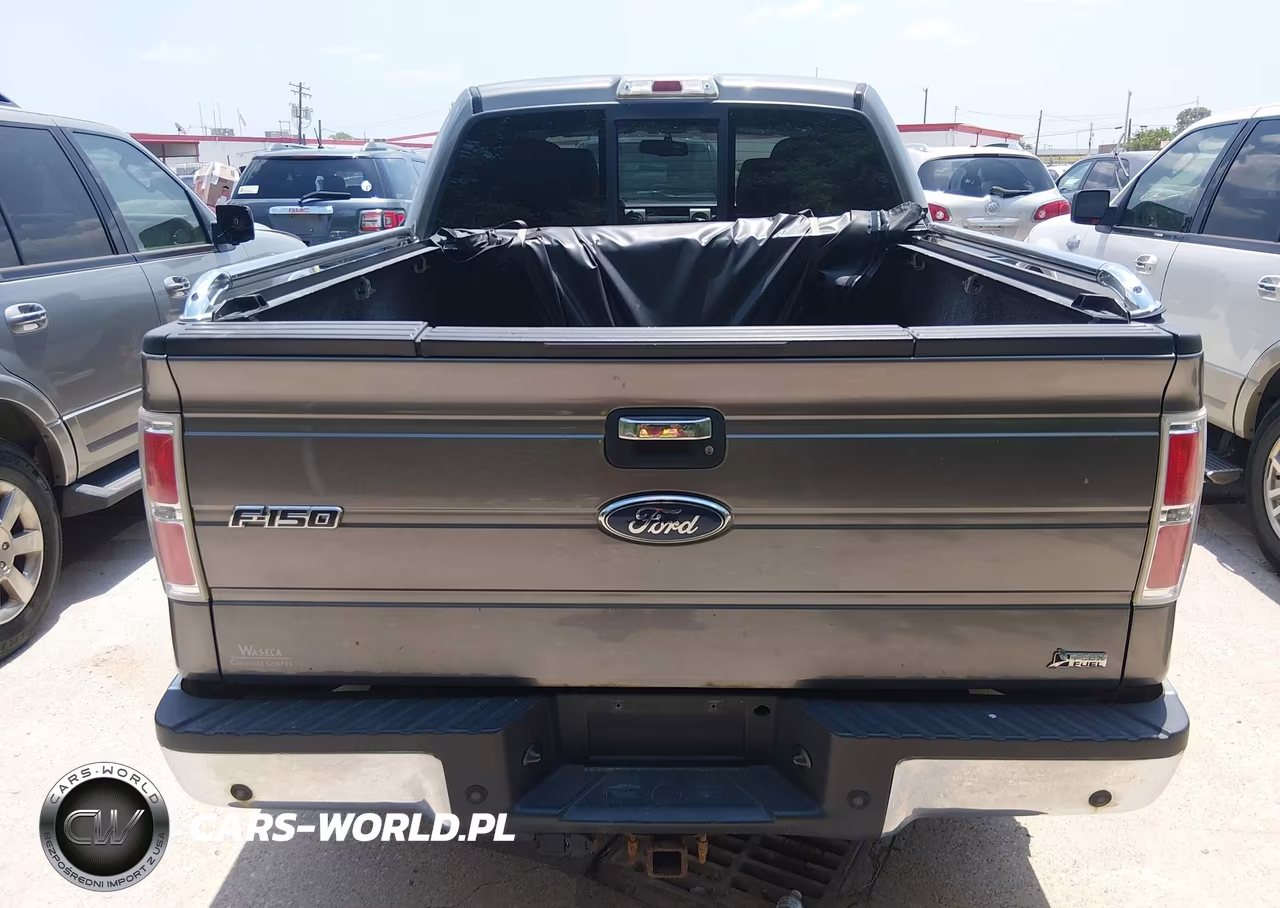 2010 Ford F-150 Fx4-Harley-Davidson-King Ranch-Lariat-Platinum-Xl-Xlt VIN:1FTFW1EV2AFB55229 - 16