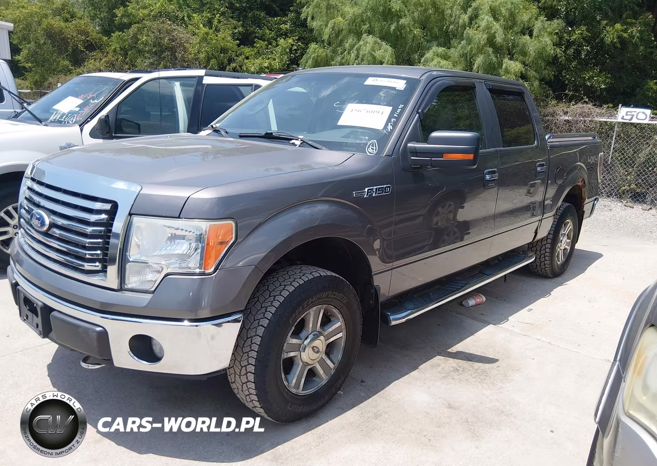 2010 Ford F-150 Fx4-Harley-Davidson-King Ranch-Lariat-Platinum-Xl-Xlt VIN:1FTFW1EV2AFB55229 - 2