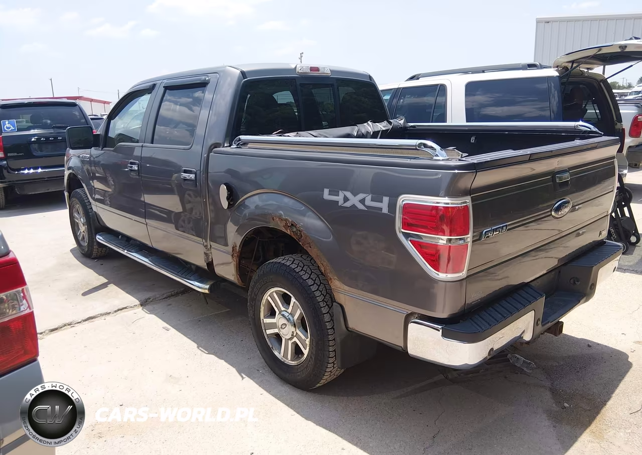 2010 Ford F-150 Fx4-Harley-Davidson-King Ranch-Lariat-Platinum-Xl-Xlt VIN:1FTFW1EV2AFB55229 - 3