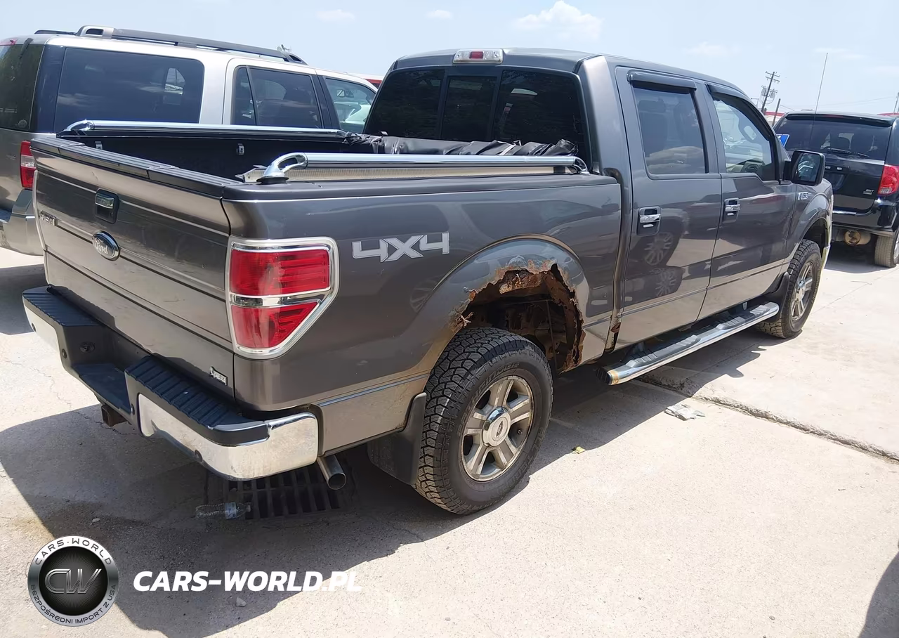 2010 Ford F-150 Fx4-Harley-Davidson-King Ranch-Lariat-Platinum-Xl-Xlt VIN:1FTFW1EV2AFB55229 - 4