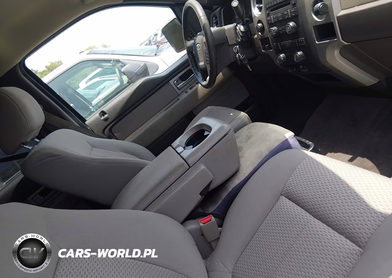 2010 Ford F-150 Fx4-Harley-Davidson-King Ranch-Lariat-Platinum-Xl-Xlt VIN:1FTFW1EV2AFB55229 - 5