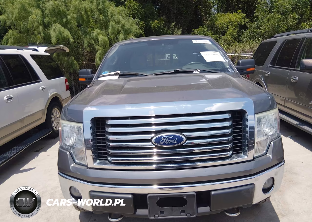 2010 Ford F-150 Fx4-Harley-Davidson-King Ranch-Lariat-Platinum-Xl-Xlt VIN:1FTFW1EV2AFB55229 - 6