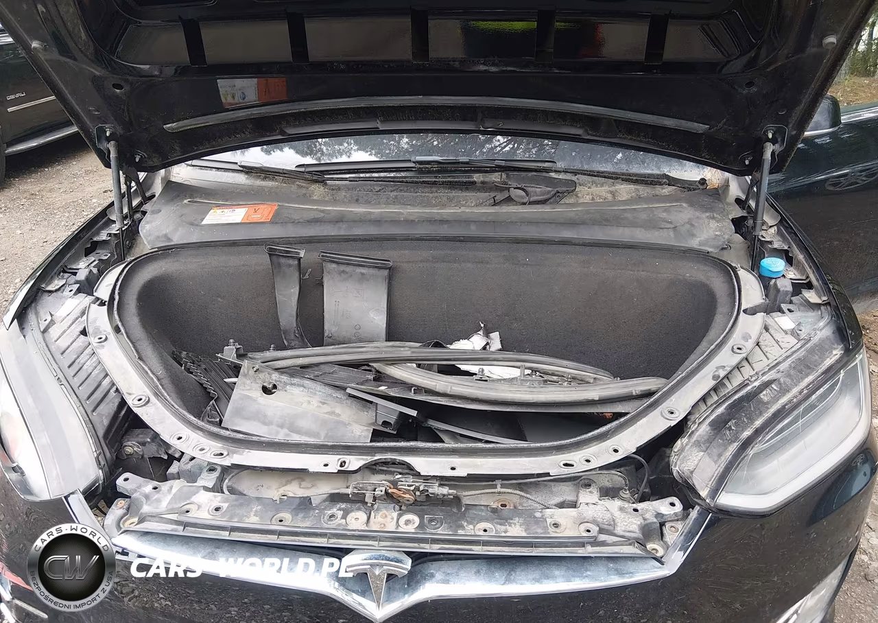 2016 Tesla Model X VIN:5YJXCAE27GF016861 - 10