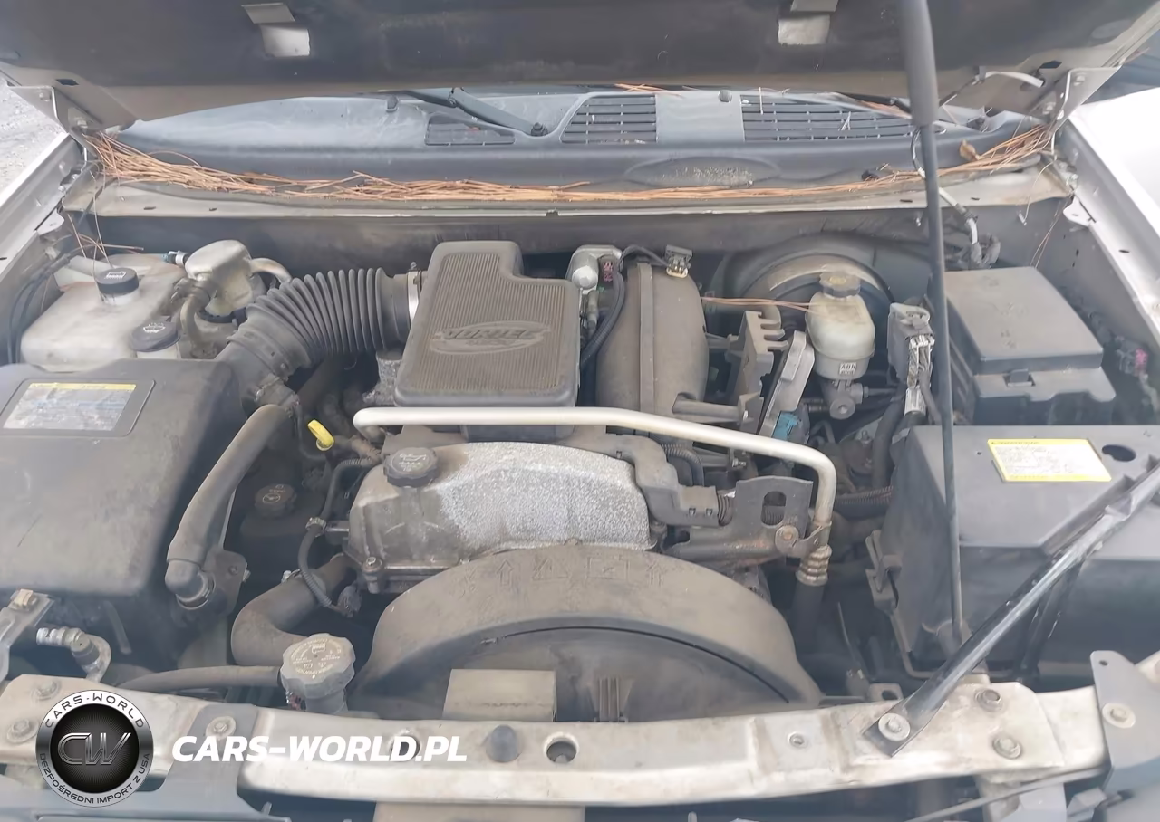 2006 Chevrolet Trailblazer Ls VIN:1GNDS13S462302765 - 10