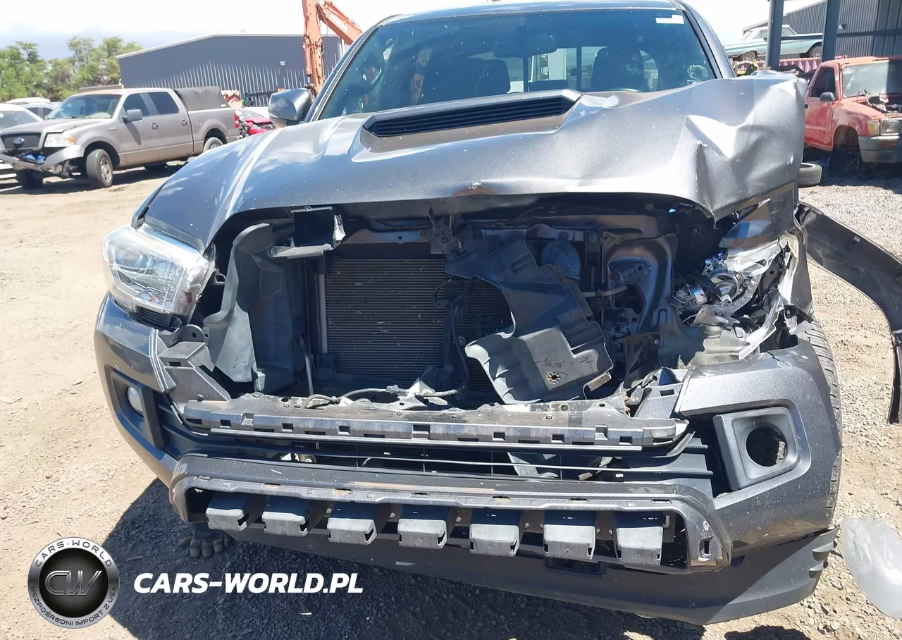 2016 Toyota Tacoma VIN:5TFCZ5ANXGX007372 - 10