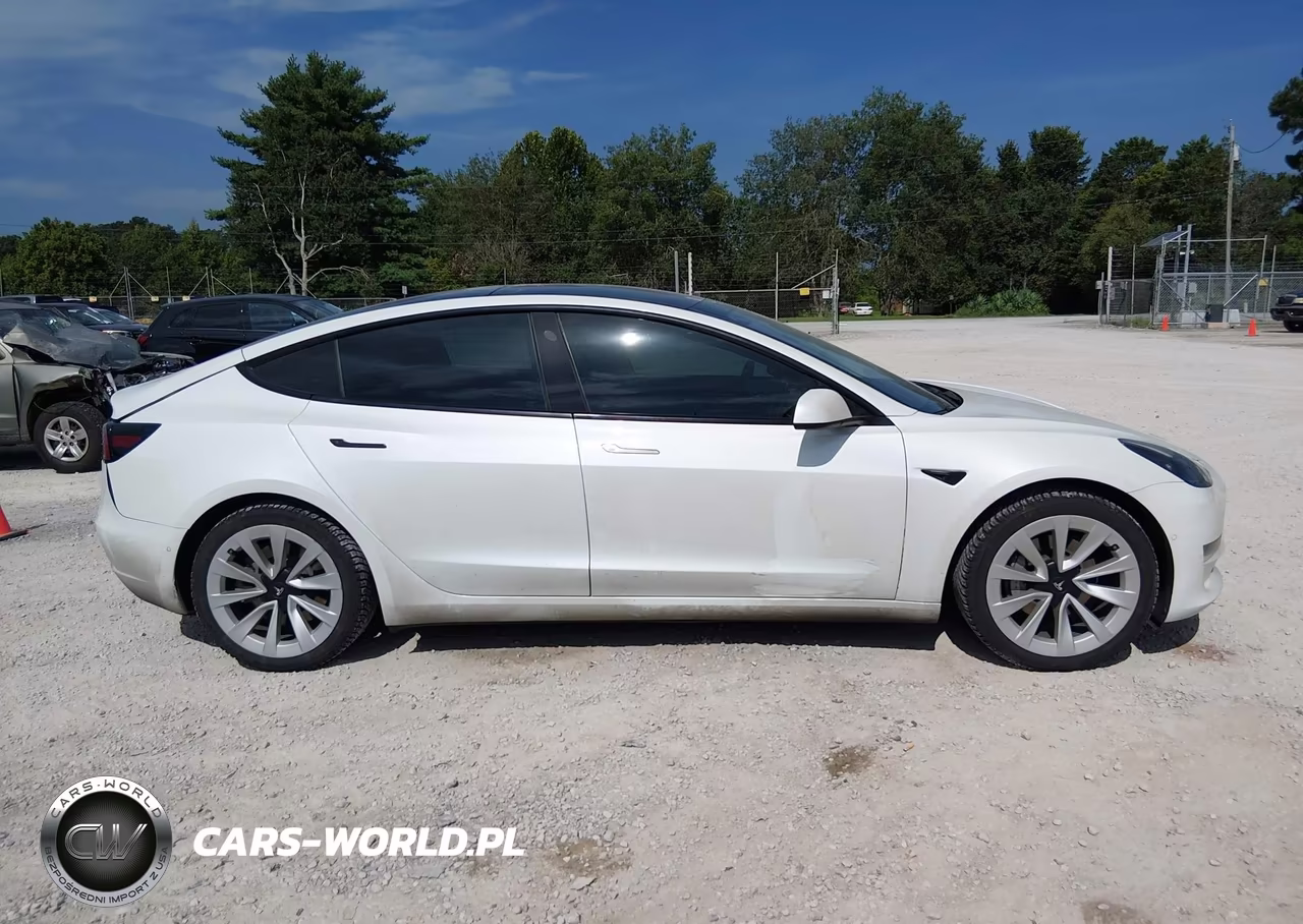 2021 Tesla Model 3 Standard Range Plus Rear-Wheel Drive VIN:5YJ3E1EAXMF048781 - 12
