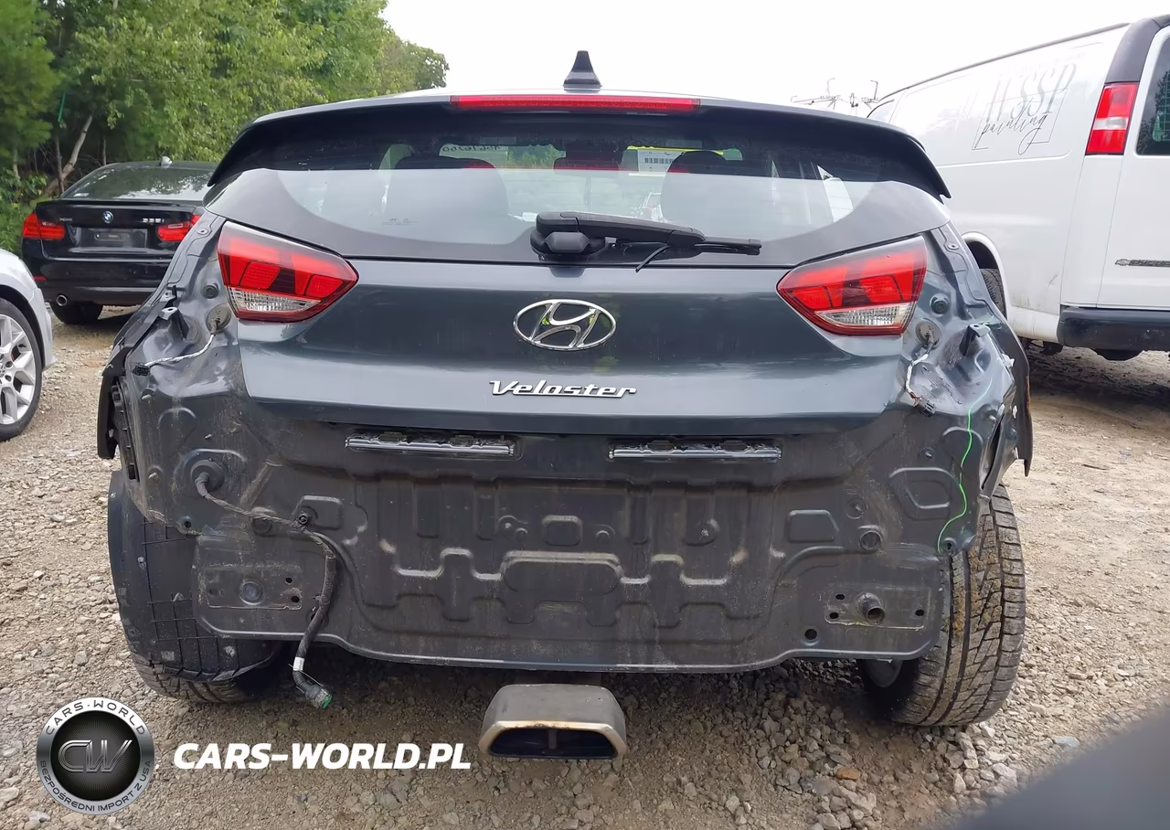 2019 Hyundai Veloster 2.0 VIN:KMHTG6AF4KU011024 - 17