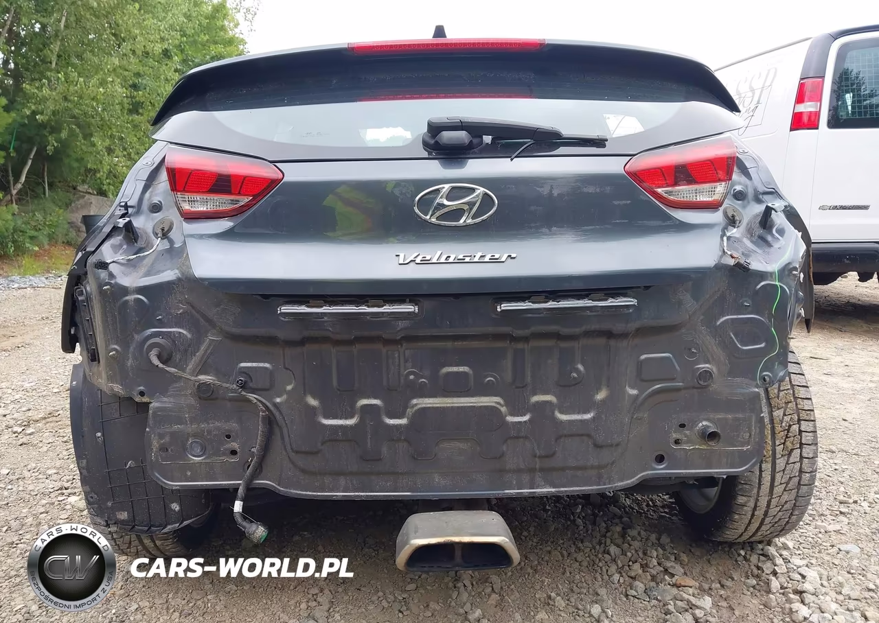 2019 Hyundai Veloster 2.0 VIN:KMHTG6AF4KU011024 - 18