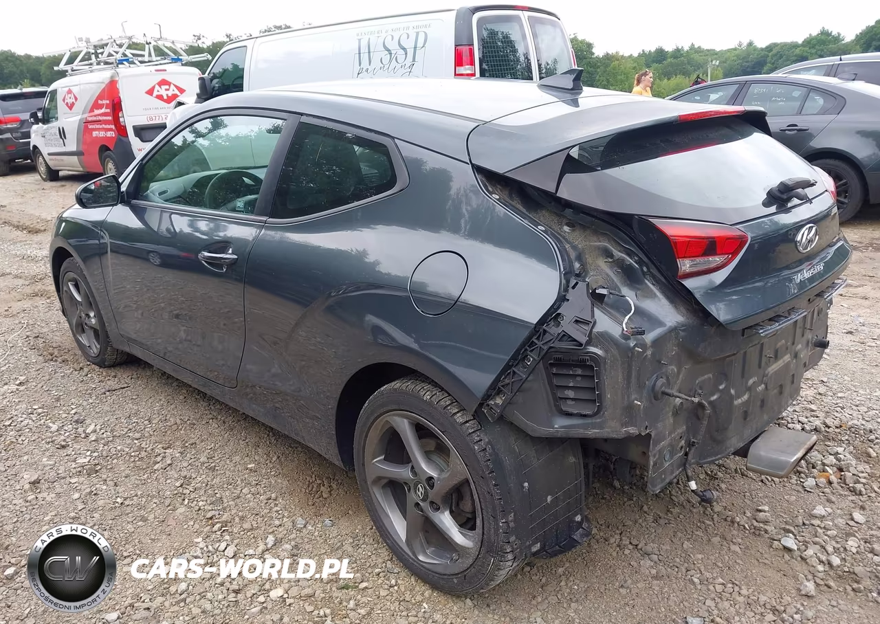 2019 Hyundai Veloster 2.0 VIN:KMHTG6AF4KU011024 - 3