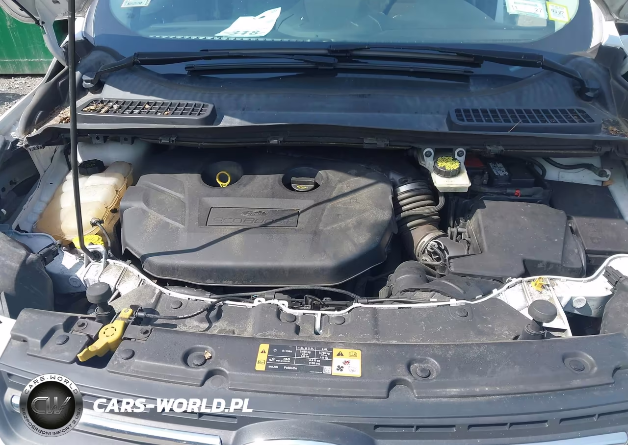 2016 Ford Escape Se VIN:1FMCU9G98GUB42234 - 10
