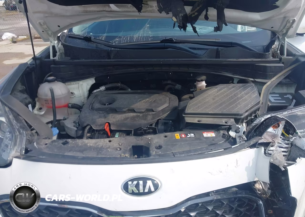 2022 Kia Sportage Lx VIN:KNDPM3AC7N7003800 - 10