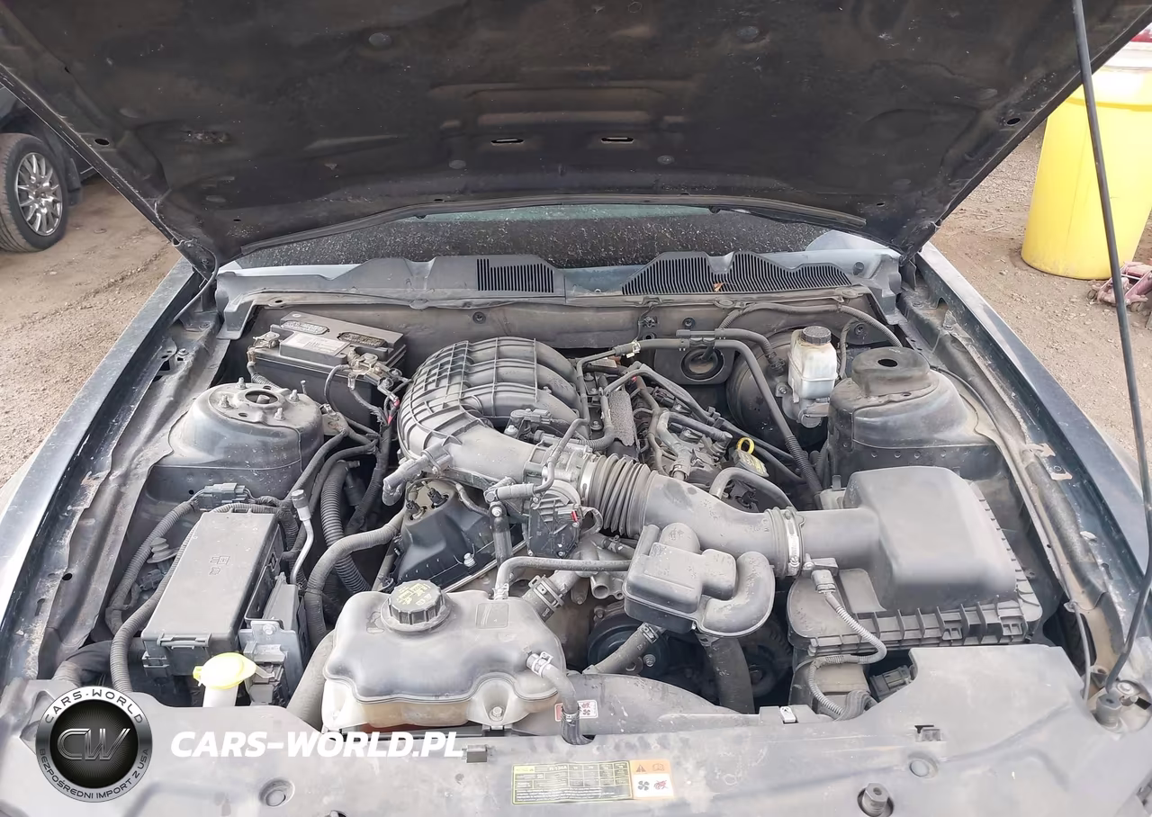 2011 Ford Mustang V6 VIN:1ZVBP8AM4B5152192 - 10