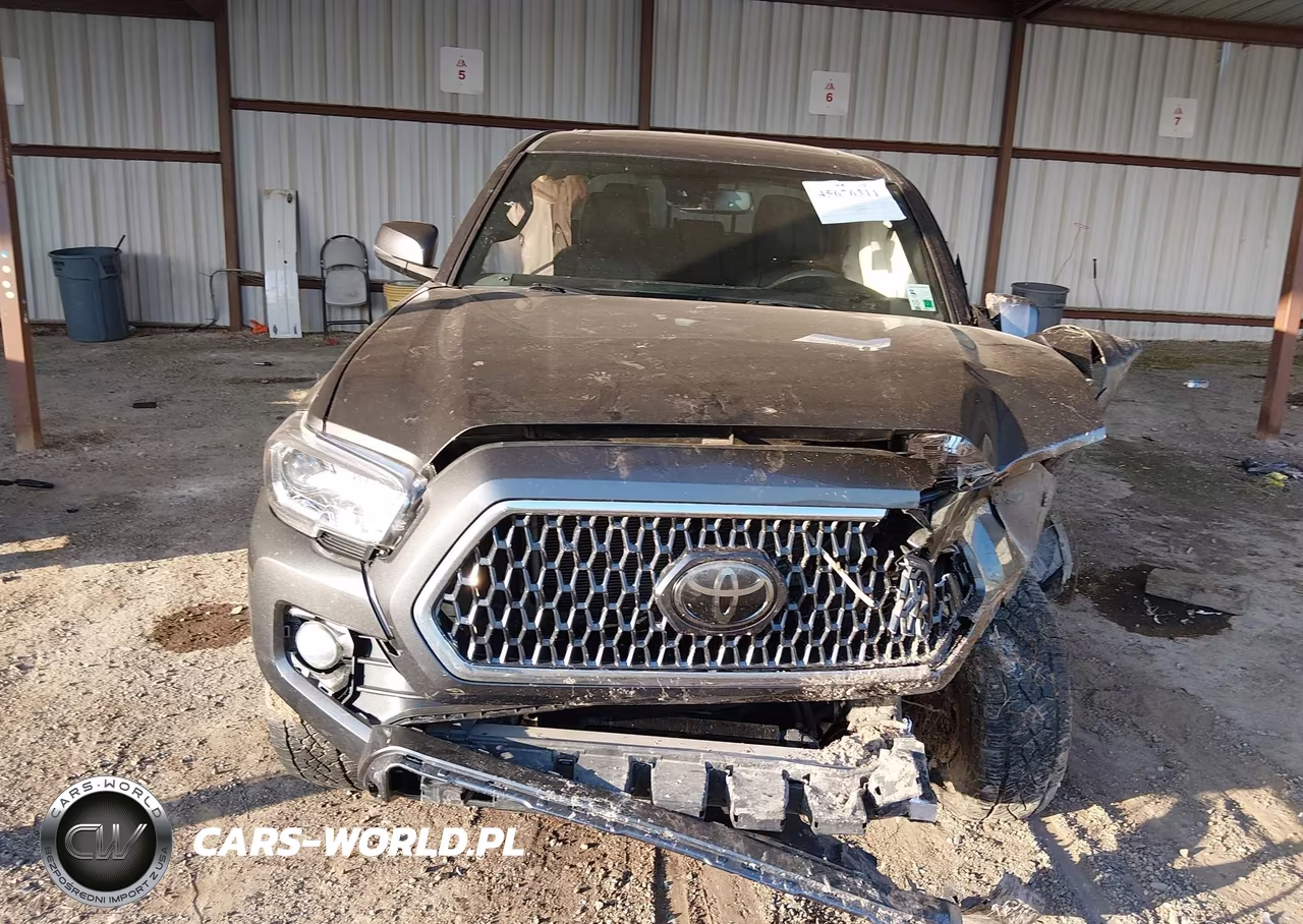 2019 Toyota Tacoma Trd Off Road VIN:5TFCZ5AN4KX204899 - 12
