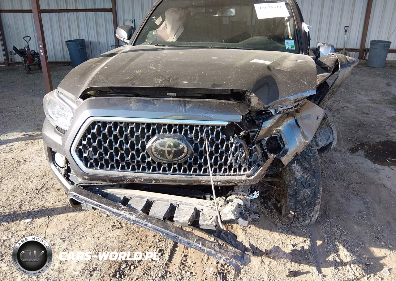 2019 Toyota Tacoma Trd Off Road VIN:5TFCZ5AN4KX204899 - 17