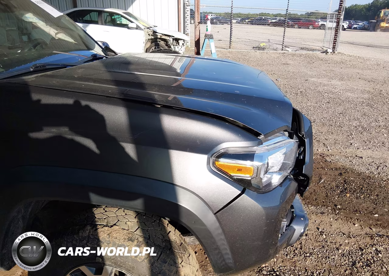 2019 Toyota Tacoma Trd Off Road VIN:5TFCZ5AN4KX204899 - 20