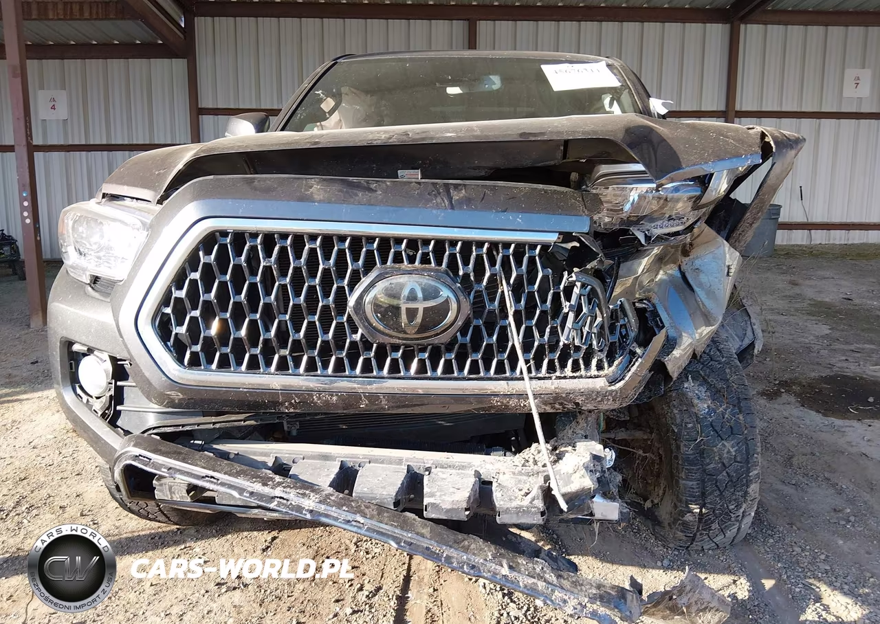 2019 Toyota Tacoma Trd Off Road VIN:5TFCZ5AN4KX204899 - 21