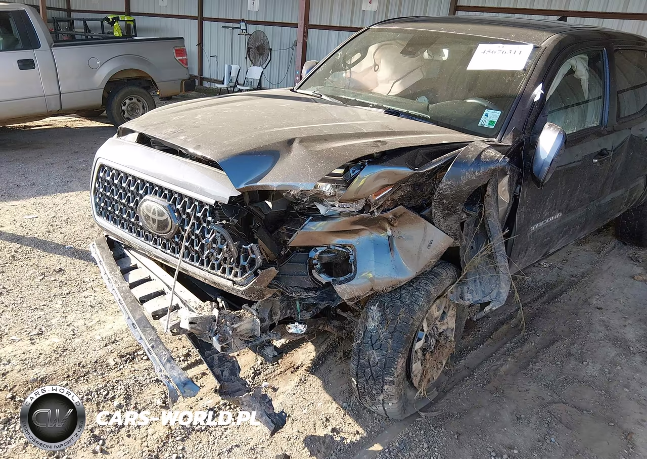2019 Toyota Tacoma Trd Off Road VIN:5TFCZ5AN4KX204899 - 6