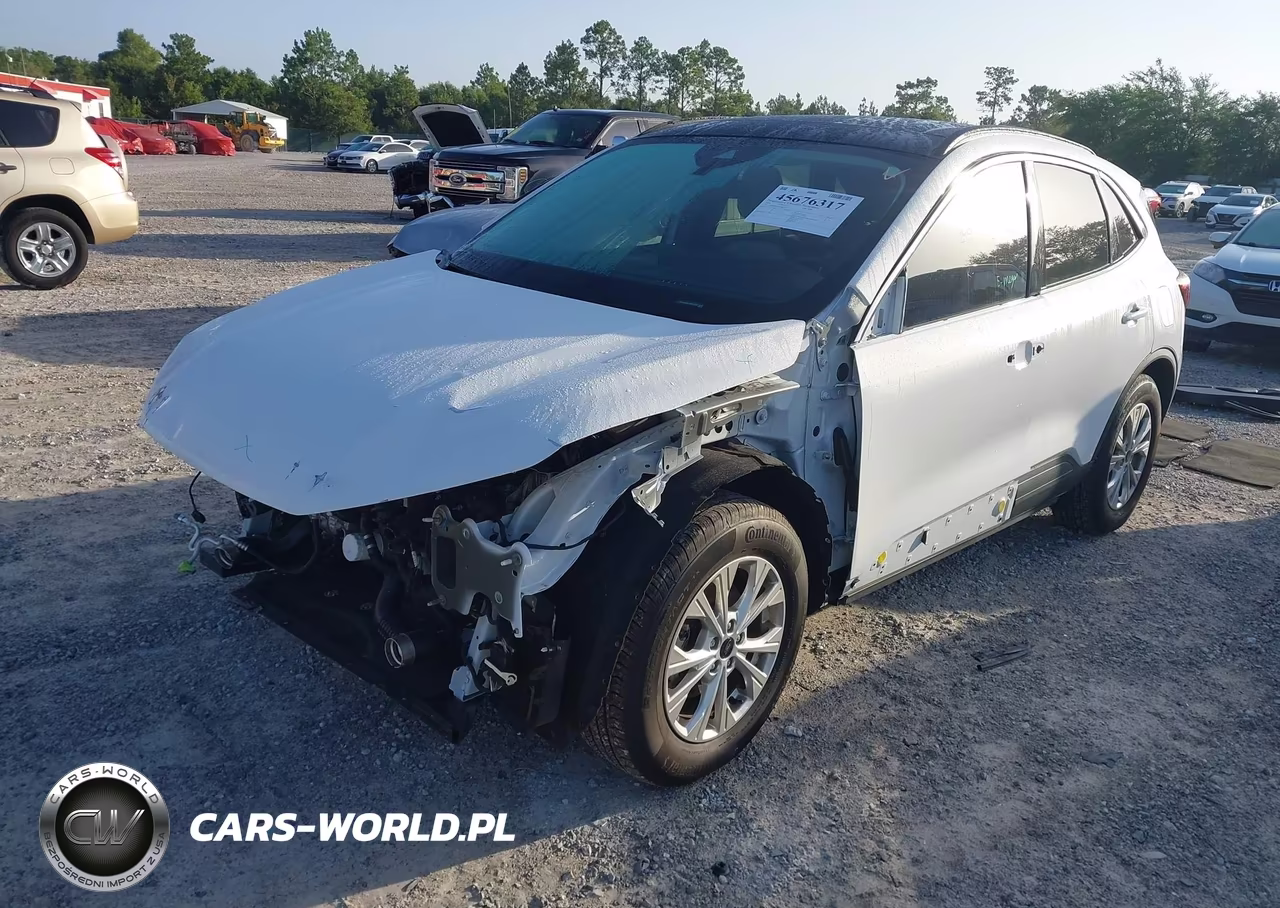 2024 Ford Escape Active VIN:1FMCU0GN3RUB55369 - 2