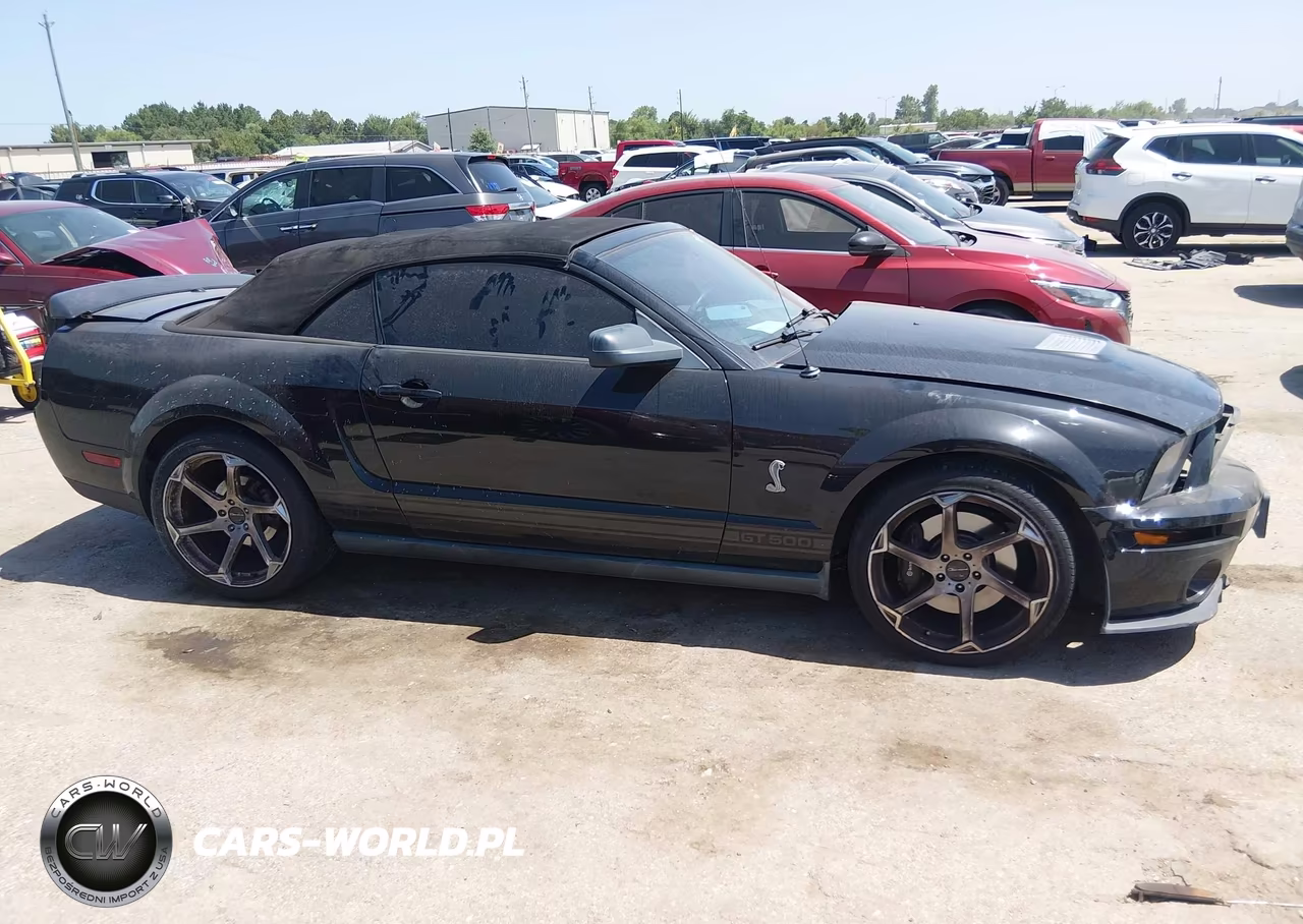2009 Ford Shelby Gt500 VIN:1ZVHT89S195144246 - 14