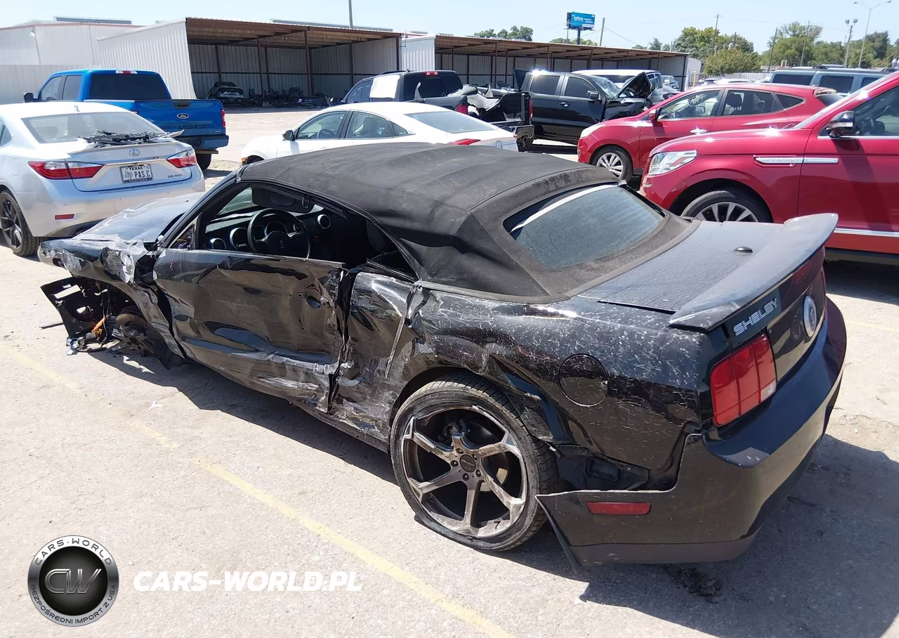 2009 Ford Shelby Gt500 VIN:1ZVHT89S195144246 - 15